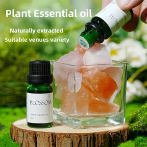 100% huile <span class=keywords><strong>de</strong></span> parfum d'aromathérapie pure organique pour humidificateur <span class=keywords><strong>de</strong></span> machine d'arôme pour les huiles <span class=keywords><strong>de</strong></span> diffuseur <span class=keywords><strong>de</strong></span> roseau désodorisant - Product Image 1