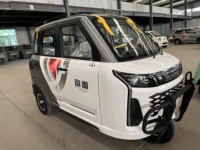Tricycle électrique entièrement fermé à 3 roues pour passagers adultes, personnalisable