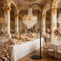Lampe sur pied en forme de couronne de cristal à brancher, installation pratique pour photomaton de mariage et décoration de toile de fond de scène de mariage, lumière aux ailes lumineuses