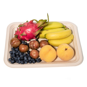 Boîte à lunch biodégradable en jus de canne à sucre, conteneur jetable rond pour emporter, écologique, qualité alimentaire - Product Image 1