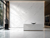 Dalles de marbre Bianco Aristonia Venato en pierre naturelle pour comptoirs, murs décoratifs et projets intérieurs sur mesure