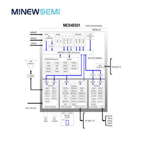 MinewSemi ME54BS61 Bluetooth-Modul nRF54L15 Ultra-Kompaktes BLE-Modul Intelligente Tragbare Asset-Tracking-Lösung - Product Image 5