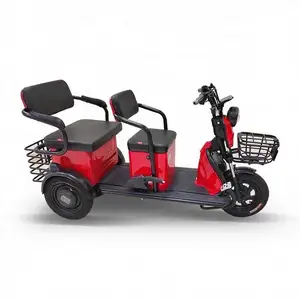 Reliable China 66Ah Electric Car Trike Phoenix Rent For Adult Use