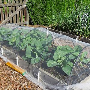 Red agrícola Multi Span HDPE 40 50 Mesh Anti Insect Net Invernadero Net House para vegetales Fruit Growing Insect Netting - Product Image 1