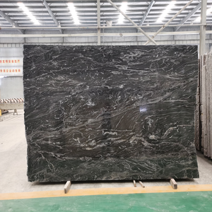 <span class=keywords><strong>Granito</strong></span> negro natural negro Paradiso con vistas de aspecto ocupado en losas Medias losas cortadas a medida Pisos y azulejos de pared y <span class=keywords><strong>encimera</strong></span> - Product Image 1