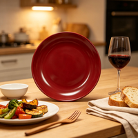 Vaisselle en porcelaine émaillée rouge de qualité supérieure, personnalisable, résistante au lave-vaisselle, durable pour l'hôtellerie, la restauration à domicile et l'usage domestique.