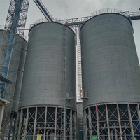 Silo in acciaio senza pulizia manuale per linea di produzione mangimi, tramoggia di stoccaggio ausiliaria con fondo in acciaio