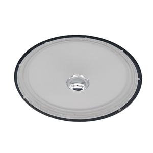 Гироборд с колесами <span class=keywords><strong>8</strong></span> дюймов Низкая цена Высокое качество жилых динамик с низкой мощности и высокая эффективность мин НЧ-динамик с 6 Ом и Y25 магнит - Product Image 2