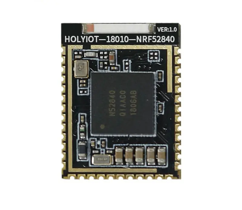 Holyiot18010-Módulo BLE con Zigbee e hilo, nRF52840