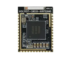 Holyiot18010 BLE Modulo con Zigbee e Filo nRF52840