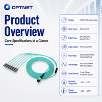 Cable de Conexión Óptica Multimodo MPO-MPO de 12 Hilos con Núcleo Visible Aqua Protruding Key B para Cable de Conexión con Cubierta LSZH