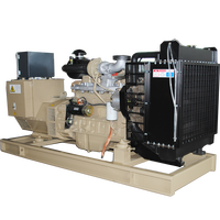 Générateur électrique 220v 250kw moteur NTA855-G2 dynamo générateur silencieux générateur à bas prix 300 Kva fabriqué en chine