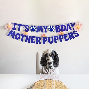 لافتة عيد ميلاد ملونة وصديقة للبيئة من الورق المتين قابلة للتخصيص بالجملة، لافتة 'إنها عيد ميلادي' لحفلات الحيوانات الأليفة - Product Image 2