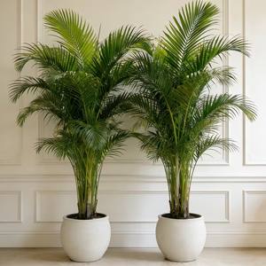 2 künstliche Palmen |   Realistische tropische Pflanzen mit üppigen grünen Blättern, wartungsfrei für Innen-/Außendekoration - Product Image 5