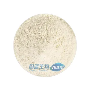 Pure Organic 90% Soy Protein Isolate Powder High Concentration Food Additive