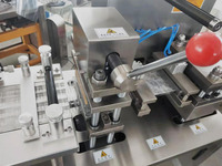 Oeuf en chocolat complet avec jouets faisant la machine Surprise Egg Joy Egg Blister Packaging Machine