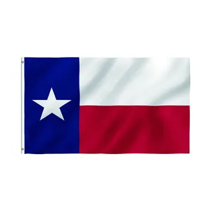 Alta qualità colore vivido migliore qualità tessuto in poliestere a doppia cucitura 3x5 piedi campagna Texas bandiera di stato con occhielli d'ottone
