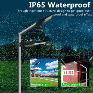 高ワット数のカスタマイズされたIP65ソーラーLED街路灯（バッテリーとABS付き、道路用、RoHS認証済み） - Product Image 5