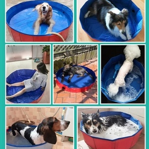 Grande piscine gonflable pliable pour chien, bain de toilettage extérieur pour animaux de compagnie - Product Image 5