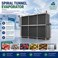 Évaporateur à tunnel spiralé personnalisé pour l'application industrielle de surgélation rapide IQF de viande et de fruits de mer