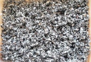 Graines de coton de qualité supérieure pour l'élevage laitier, l'alimentation du bétail et de la volaille, l'extraction d'huile, l'exportation en vrac, l'utilisation dans la chaîne d'approvisionnement agricole - Product Image 3