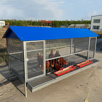 Cage à poules à fond incliné pour la collecte des œufs – Conception pratique et ergonomique pour la collecte quotidienne des œufs et le travail d'élevage en ferme
