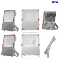 Exportation vers L'europe LED Sport Lumière 0-10V Dim LED Projecteur 100w 150w 200w 250w 300w 400w IP66 Projecteur peut travailler avec CCTV Caméra