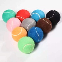 Wald Sport AX-25823A Ballon de tennis de plage éco-responsable de haute qualité pour chien avec logo personnalisé pour jouet pour animaux de compagnie et entraînement sportif