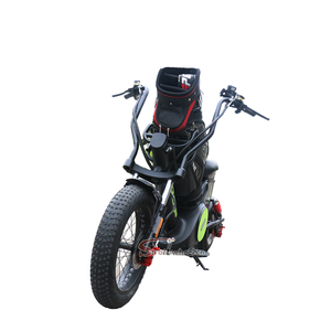 2025 EEC COC批准的2000W 60V 20Ah电池电动滑板车廉价城市可可高尔夫摩托车城市使用 - Product Image 1