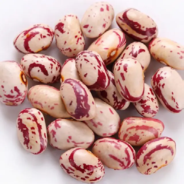 2021 판매 핑크 콩 새로운 작물 도매 유기농 말린 볶은 핑크 신장 콩 판매, 가벼운 얼룩덜룩 한 신장 신장 콩 가방