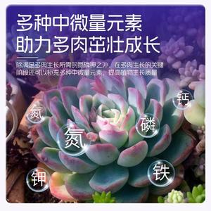 <span class=keywords><strong>Engrais</strong></span> pour plantes vertes spéciales, en bâtonnets à libération lente, pour plantes en pot, <span class=keywords><strong>bambou</strong></span>, fleurs, à libération lente, longue durée - Product Image 5