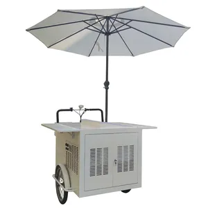 Factory Price Ice Cream Tricycle Street Food Cart Beer Cart New Refrigerated With 110v AC/220v Freezer Bike