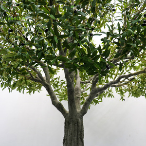 Plantes artificielles en latex de type Andromède japonaise (<span class=keywords><strong>Pieris</strong></span> <span class=keywords><strong>japonica</strong></span>) à toucher réaliste, feuillage vert pour intérieur et extérieur - Product Image 1