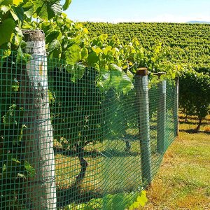 Green <b>Plastic</b> Coated Electro Welded <b>Mesh</b> 12.7x12.7 Mm Square Garden Netting Protective Metal <b>Mesh</b> 10 Meter Roll - Product Image 6