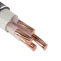 Cable Eléctrico de Control Subterráneo Impermeable de Alto Rendimiento Serie YJV22, XLPE, Cobre, 0.6/1KV 3*120+1*70 PVC