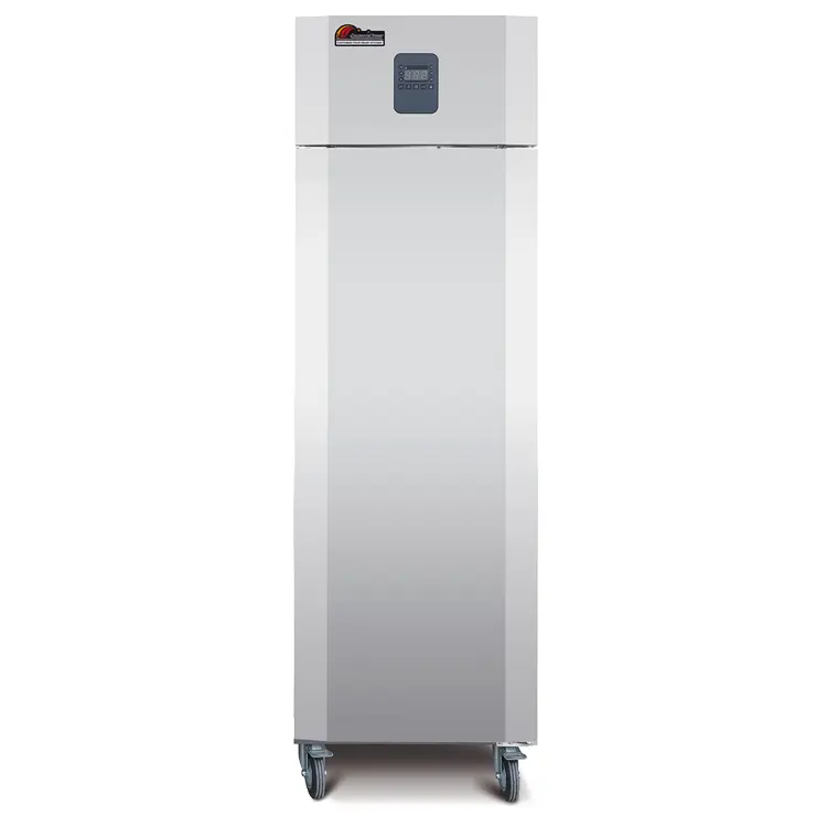 Commercial Fridge Koelkast Frezer Congelateur Frigo Kulkas Frigorifero Refrigerators Freezer