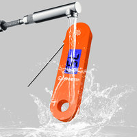 Thermomètre numérique pour viande Lonnmeter OEM/ODM intelligent, étanche IP68, lecture instantanée, sondes en acier inoxydable, haute précision 0,5°C