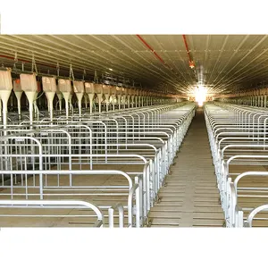 low cost steel structure pig breeding shed/piggery/hog house