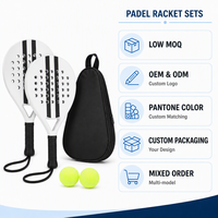 Ensemble de raquettes de padel (lot de 2) avec 2 balles et 1 sac de transport, en ABS léger, pour les sports de plein air décontractés