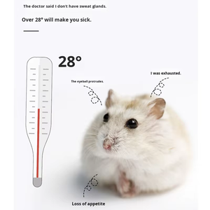 Abri de refroidissement estival pour hamster, cage pour animaux de compagnie, meubles, maison en céramique pour hamster - Product Image 3