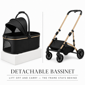 Carrito Plegable Ligero para Mascotas con Ruedas Giratorias y Ventanas de Malla Transpirable - Product Image 2