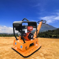 Compacteur de sol à plaque vibrante miniature à essence de qualité supérieure avec une efficacité élevée pour les chantiers de construction