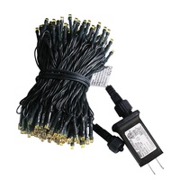 10m 100 LED 110V Stecker-Lichterkette für Innen und Außen, Plastik-Weihnachtsbaumbeleuchtung, Dekorative Ornament-Lichterkette, Feenlichterkette