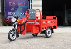 Logistics Express 3 Wheeler 3 Wheel Motorcycle Electric Farm Utility Vehicle Multi-Purpose Electric Tricycle Open