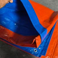 Rideaux latéraux imperméables de bâche de toile enduite de PVC résistant de Zhensheng pour l'usage industriel tissé tricoté avec le modèle imprimé
