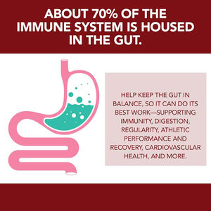 Las gomitas probióticas orgánicas de 5 mil millones de CFU de etiqueta privada OEM ayudan a apoyar la digestión, el <span class=keywords><strong>estreñimiento</strong></span> y el sistema inmunológico - Product Image 2