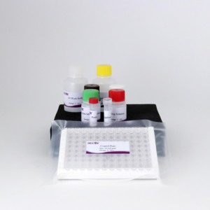 Prv GE <span class=keywords><strong>IgG</strong></span> kháng thể Elisa Kit kiểm tra-Chặn Elisa cho lợn pseudorabies virus phát hiện, CE/oie compliant - Product Image 5
