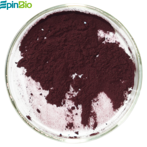 최고 품질의 빌베리 추출물 25% 안토시아닌; 빌베리 추출물 - Product Image 2