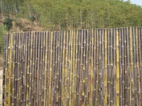 Panneaux de clôture de jardin en bambou tigré ZY-2009, 8 pieds, traités thermiquement, laqués naturellement, écologiques, imperméables, pour chantier de construction
