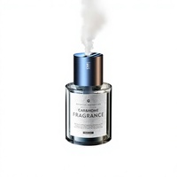 Diffuseur d'arômes haut de gamme à parfum léger et longue durée, vaporisateur intelligent, support de parfum, humidificateur